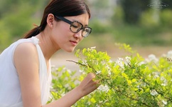 麻生希无马种子